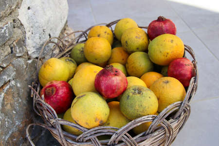 beautiful Oranges - Crete, Greeceの写真素材