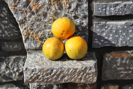 beautiful Oranges - Crete, Greeceの写真素材