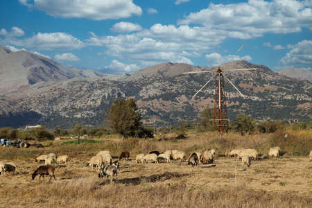 traditional windmill - Lasithi Plateau, Crete, Greeceの写真素材
