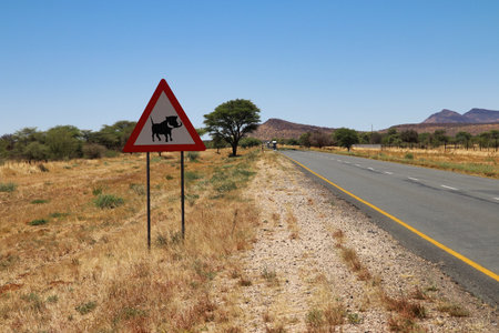 long road - Namibia, Africaの写真素材