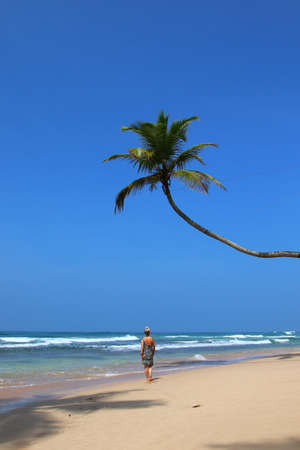 pretty girl on a dream beach with palm trees - Sri Lanka, Asiaの写真素材