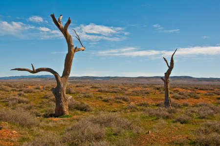 the australian landscape, south australiaの写真素材