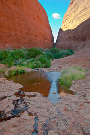 view of Kata Tjuta, australian red centerの写真素材