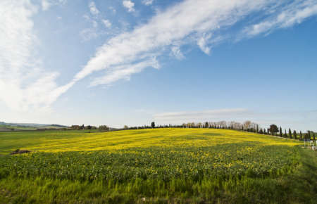 countryside in Chianti, Tuscany, Italyの写真素材