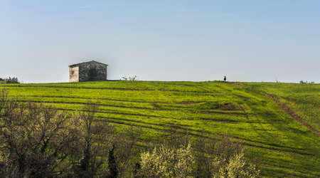 farmland and countryside in Chianti, Tuscany, Italy
