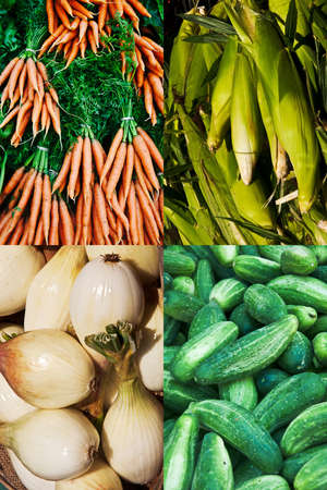 colored vegetables collageの写真素材