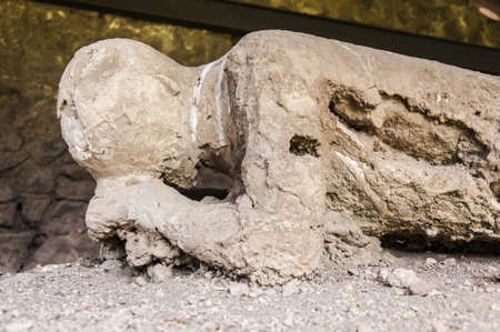 body shapes of victims after the vesuvius eruptions, Pompeii, Italyのeditorial素材