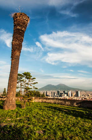 Panorama of the Vesuvius and the city of Naples, Italyの写真素材