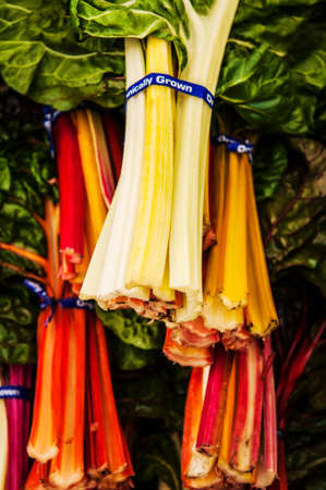 a group of rainbow chard in an american marketの写真素材