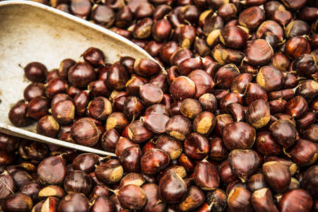 an amount of chestnuts on the fire in a fall market in Italyの写真素材