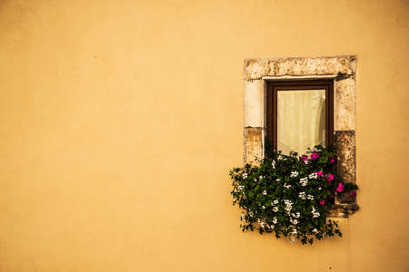 old styled italian window with flowersの写真素材