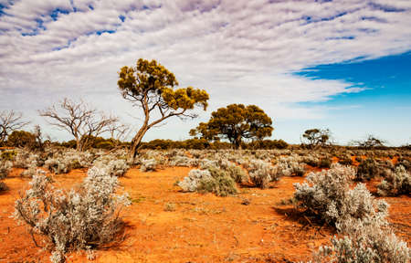 the red center in the australian desert, the outback in Northern Territoryの写真素材