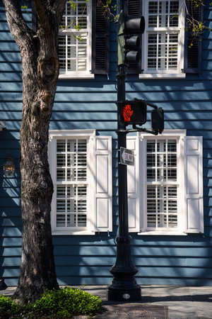 Charleston, South Carolina, USA homes along The Battery in the morning.