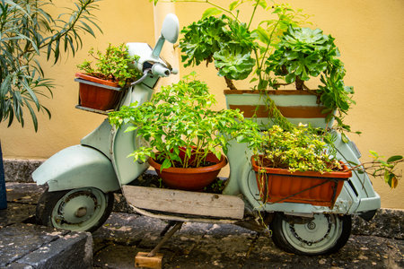 Classic Vespa scooter parking near a tree and with a basket of Flowers, Naples, Italyのeditorial素材