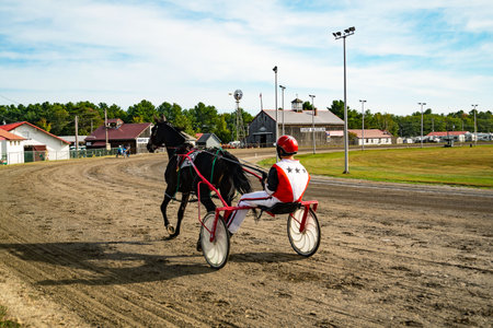 Jockey and horse. Trotting horse race. Race in harness with a sulky. Harness racing. Trotting horse race. Sports bannerの写真素材
