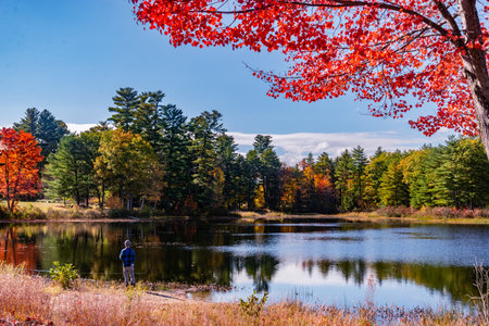 View of the landscape in Cape Porpoise, Maine, United States of America