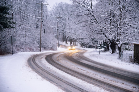 Wet road through a winter forest in Maine, Americaの写真素材
