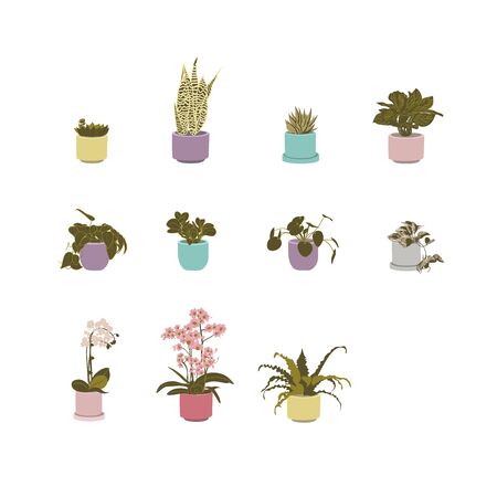 The Indoor Gardens Icons Setのイラスト素材