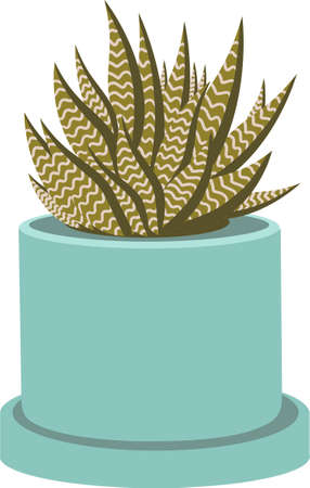 The Flower in a Turquoise Pot Flat Illustrationの写真素材