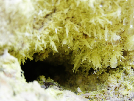 Sulfur crystals in volcanic fumaroleの写真素材