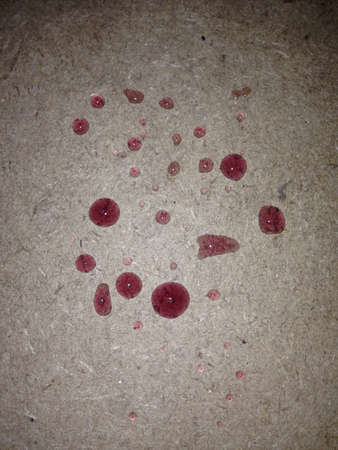 Picture of textura made within grape juice and MDF