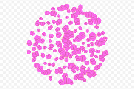 Circle of flying random chaotic pink petals vector illustrationのイラスト素材