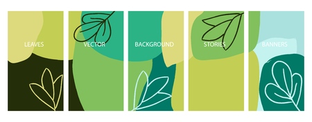 Social media stories banners set, story, floral templates for cover, flyer, brochure, vector backgrounds collection.のイラスト素材