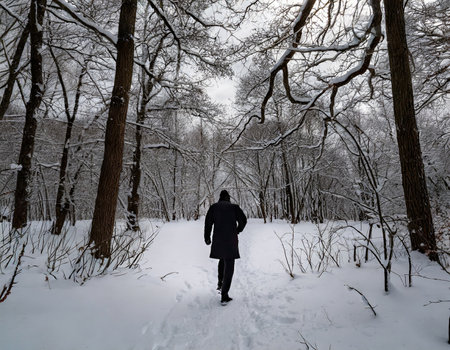A man walking in the winter forest. A man walks through the winter forest.の素材