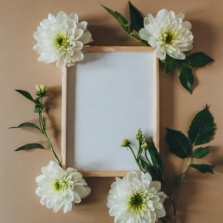 White dahlias and white frame on beige background. Flat lay, top view.の素材