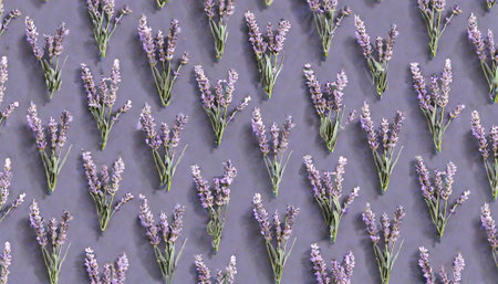 Lavender flowers pattern on gray background. Flat lay, top view.の素材