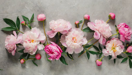 Beautiful peony flowers on grey background, flat lay. Space for textの素材