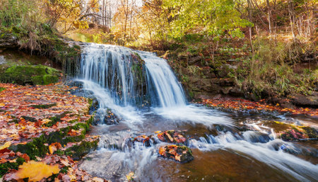 Autumn landscape with small waterfall and fallen leaves in the forest.の素材