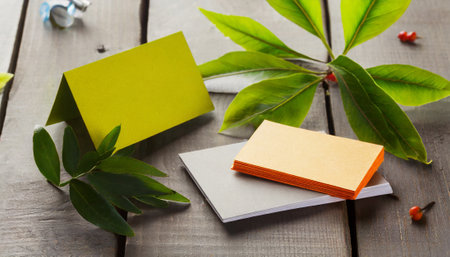 Envelopes with green leaves on wooden table, close up viewの素材