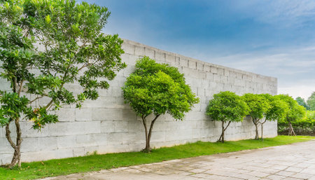 White brick wall and green tree with blue sky background in public parkの素材