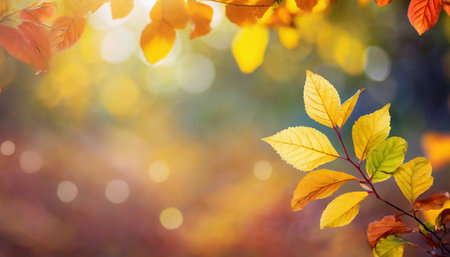 Autumn background with colorful leaves and bokeh lights. Copy spaceの素材