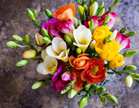 Bouquet of freesia flowers on a stone background.の素材