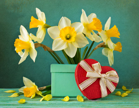 Bouquet of daffodils with gift box on green backgroundの素材