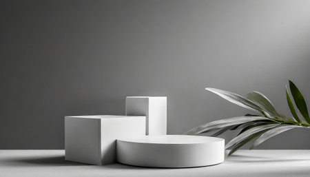 3d render, abstract minimal geometric forms, podiums for product presentationの素材