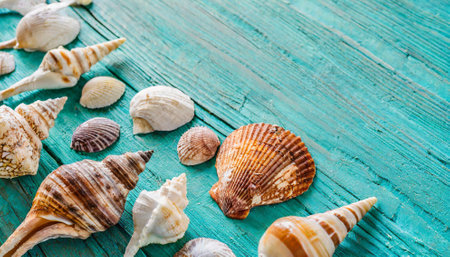 Seashells on turquoise wooden background, copy spaceの素材