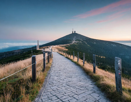Sunset on the top of the mountain in Carpathians, Ukraineの素材