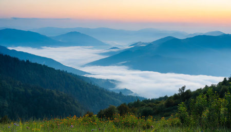 Foggy morning in the Carpathian mountains, Ukraine.の素材
