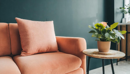 Sofa decoration in living room interior - Vintage Light Filter effectの素材