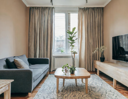 Interior of living room with sofa, coffee table and plant in vaseの素材