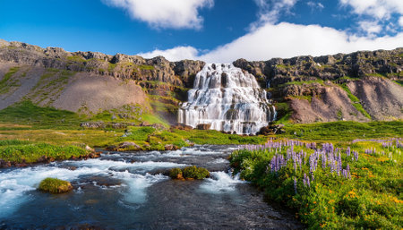 dynjandi is one the most famous waterfall of the west fjords of iceland at summerの素材