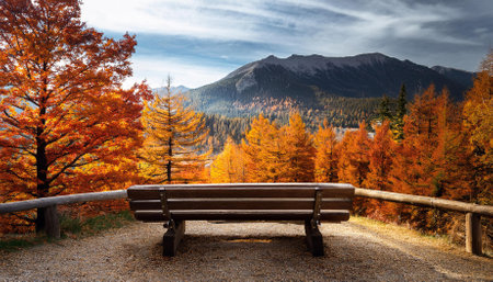Bench in the autumn forest with colorful trees and mountains in the backgroundの素材