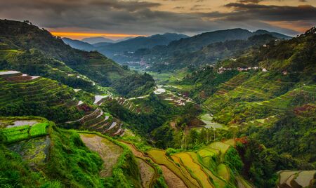 Rice Terracesの写真素材