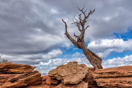 Colorado National Monumentの写真素材
