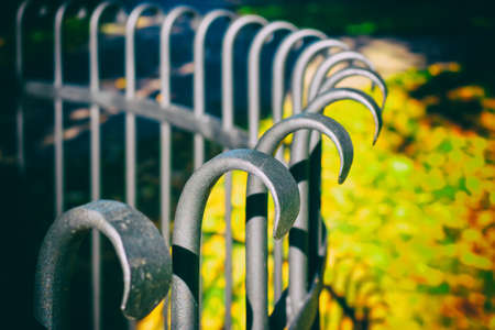 Tree fence
