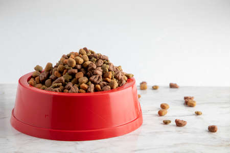 Dog kibble in a red bowl, on a white marble base