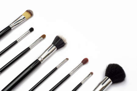 Makeup brushes arranged aesthetically on a white background